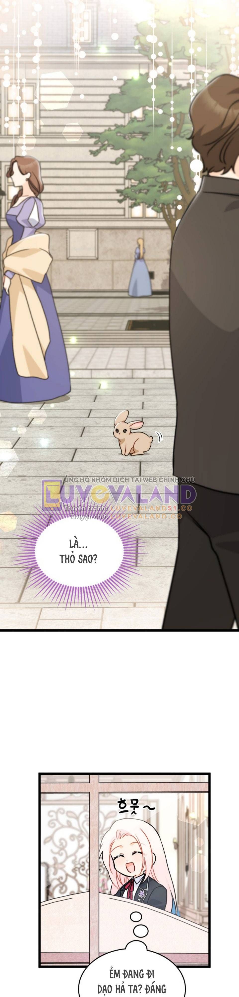 đọc truyện Mối Quan Hệ Cộng Sinh Giữa Báo Đen Và Thỏ Trắng Chương 145 ảnh 15 tại Thiên Thai Truyện