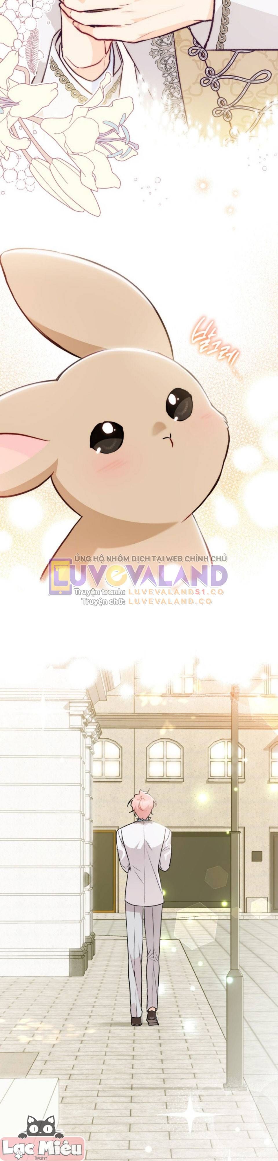 đọc truyện Mối Quan Hệ Cộng Sinh Giữa Báo Đen Và Thỏ Trắng Chương 145 ảnh 43 tại Thiên Thai Truyện