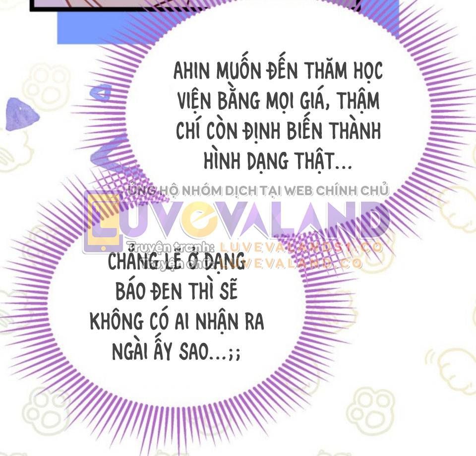 đọc truyện Mối Quan Hệ Cộng Sinh Giữa Báo Đen Và Thỏ Trắng Chương 145 ảnh 10 tại Thiên Thai Truyện