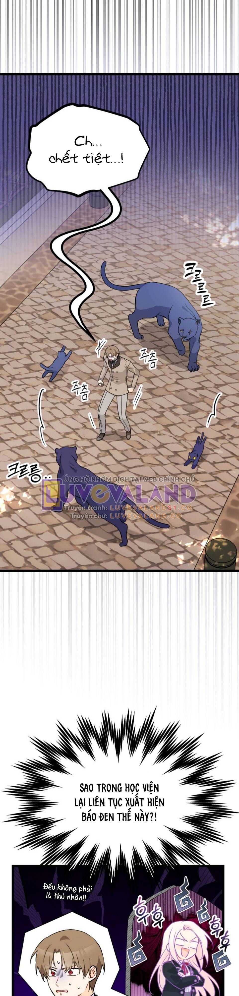 đọc truyện Mối Quan Hệ Cộng Sinh Giữa Báo Đen Và Thỏ Trắng Chương 146 ảnh 17 tại Thiên Thai Truyện