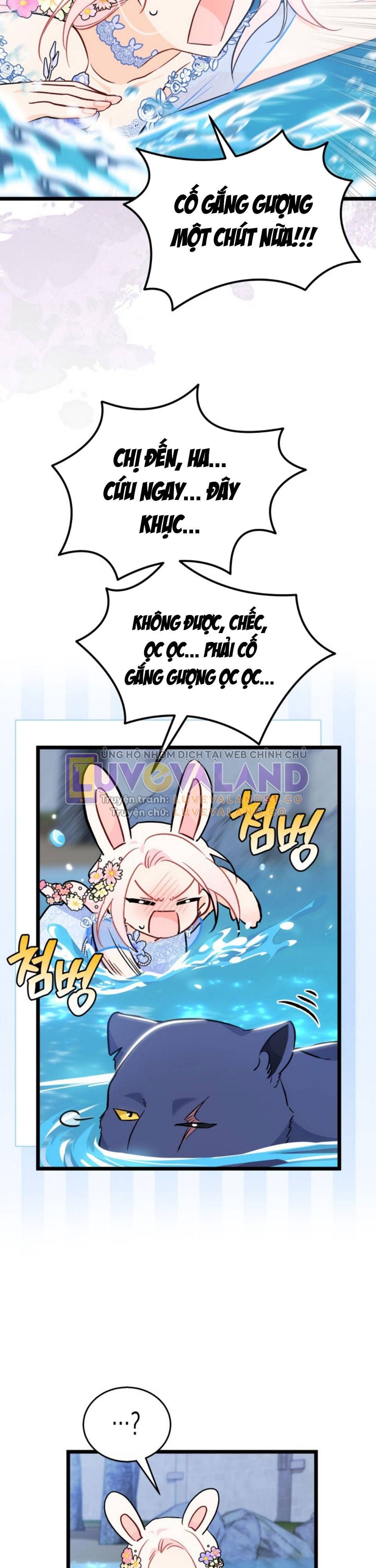 đọc truyện Mối Quan Hệ Cộng Sinh Giữa Báo Đen Và Thỏ Trắng Chương 148 ảnh 35 tại Thiên Thai Truyện