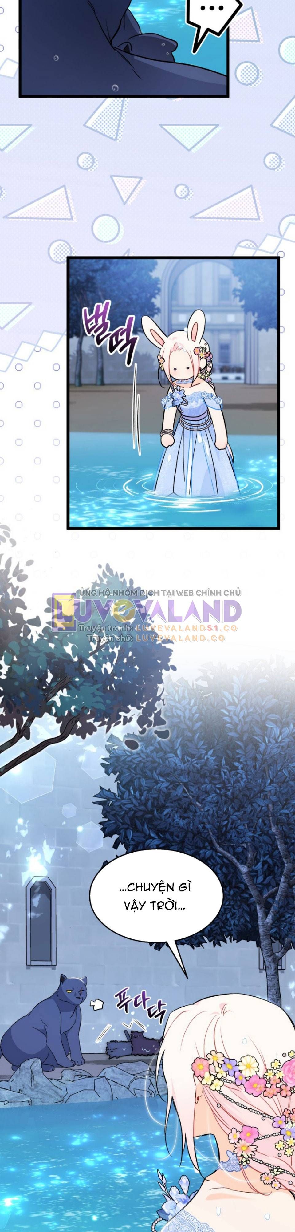 đọc truyện Mối Quan Hệ Cộng Sinh Giữa Báo Đen Và Thỏ Trắng Chương 148 ảnh 37 tại Thiên Thai Truyện