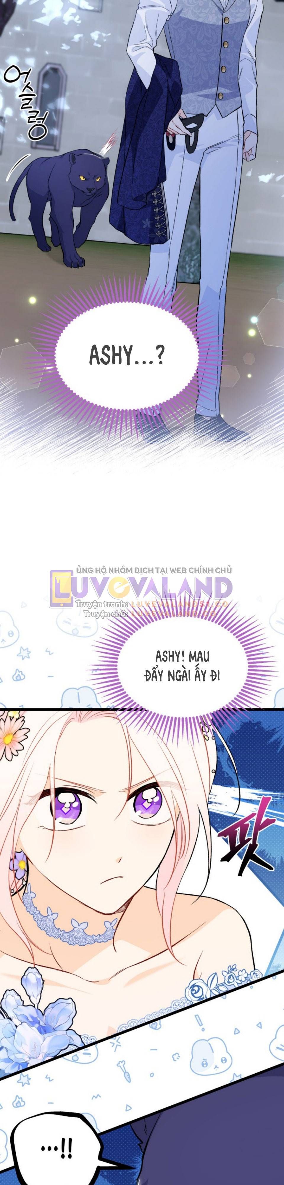 đọc truyện Mối Quan Hệ Cộng Sinh Giữa Báo Đen Và Thỏ Trắng Chương 149 ảnh 22 tại Thiên Thai Truyện