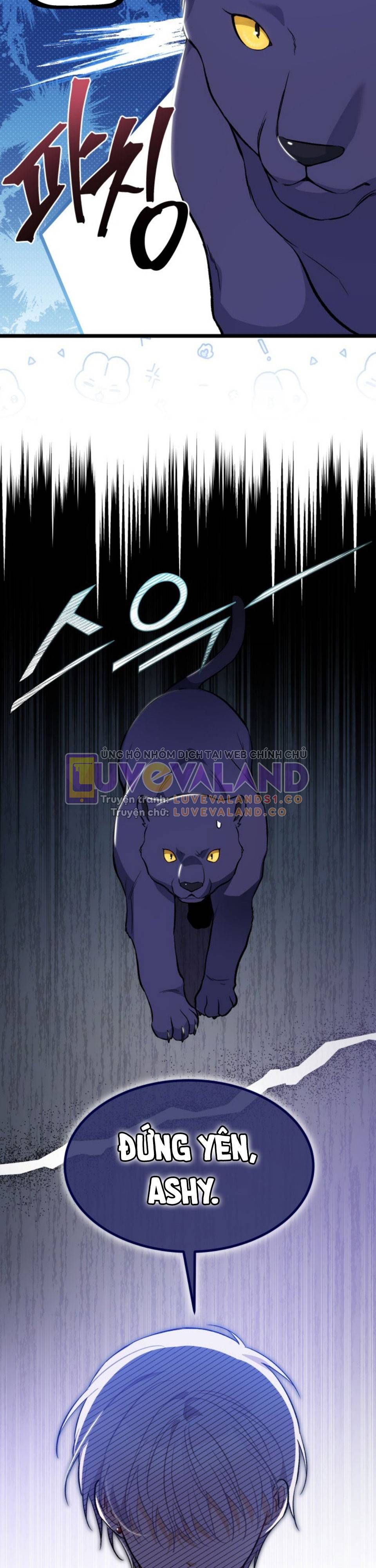 đọc truyện Mối Quan Hệ Cộng Sinh Giữa Báo Đen Và Thỏ Trắng Chương 149 ảnh 23 tại Thiên Thai Truyện