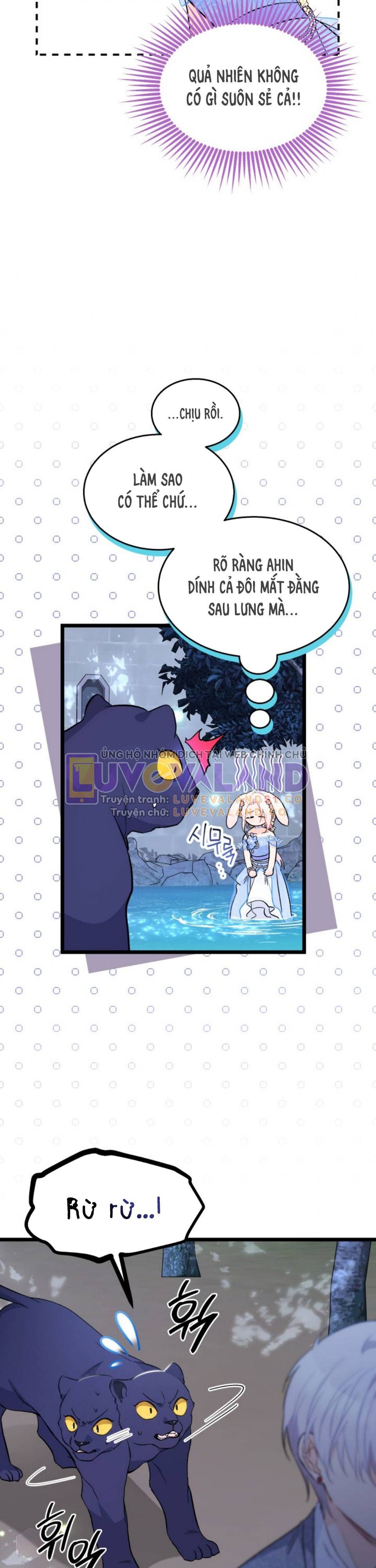 đọc truyện Mối Quan Hệ Cộng Sinh Giữa Báo Đen Và Thỏ Trắng Chương 149 ảnh 25 tại Thiên Thai Truyện