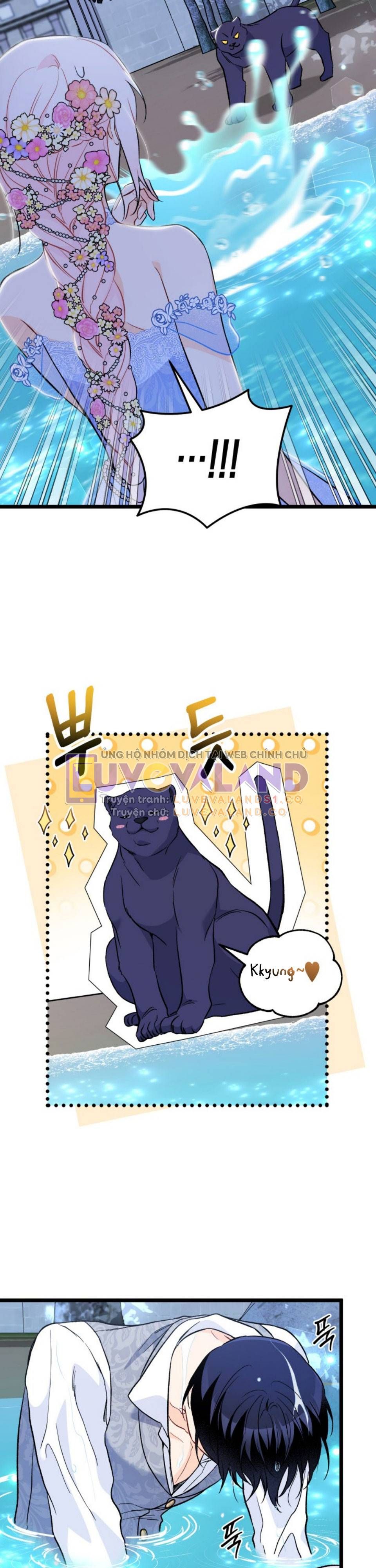 đọc truyện Mối Quan Hệ Cộng Sinh Giữa Báo Đen Và Thỏ Trắng Chương 149 ảnh 29 tại Thiên Thai Truyện