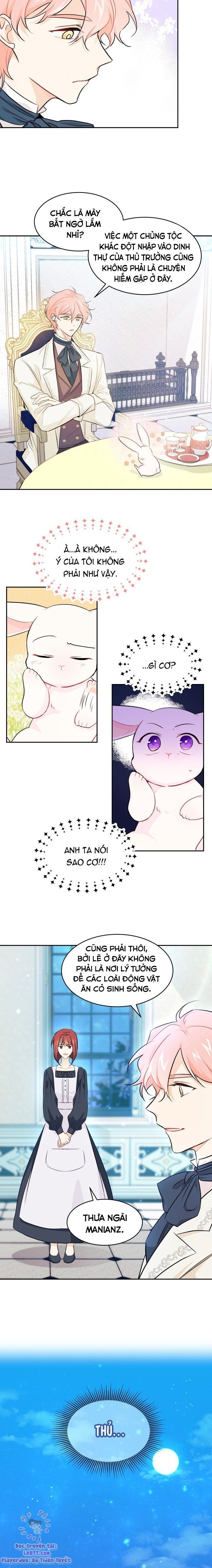 đọc truyện Mối Quan Hệ Cộng Sinh Giữa Báo Đen Và Thỏ Trắng Chương 15 ảnh 17 tại Thiên Thai Truyện