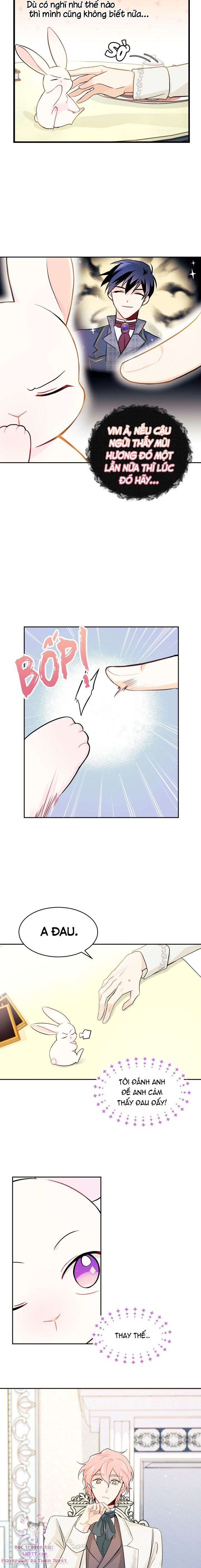 đọc truyện Mối Quan Hệ Cộng Sinh Giữa Báo Đen Và Thỏ Trắng Chương 15 ảnh 9 tại Thiên Thai Truyện