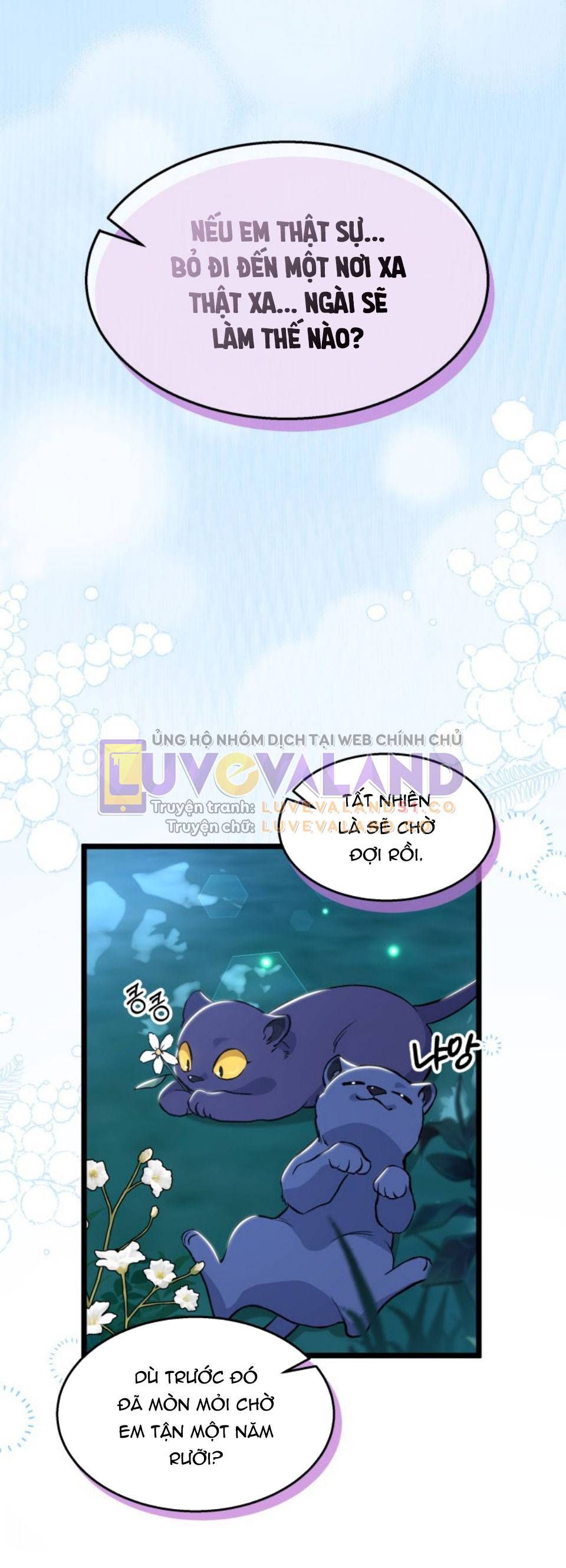 đọc truyện Mối Quan Hệ Cộng Sinh Giữa Báo Đen Và Thỏ Trắng Chương 150 ảnh 16 tại Thiên Thai Truyện