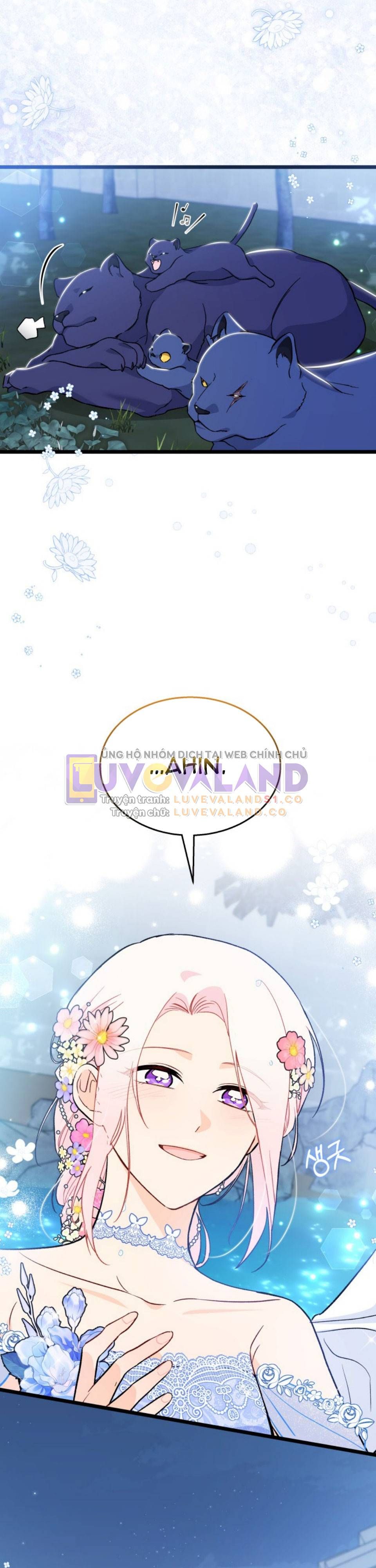 đọc truyện Mối Quan Hệ Cộng Sinh Giữa Báo Đen Và Thỏ Trắng Chương 150 ảnh 18 tại Thiên Thai Truyện