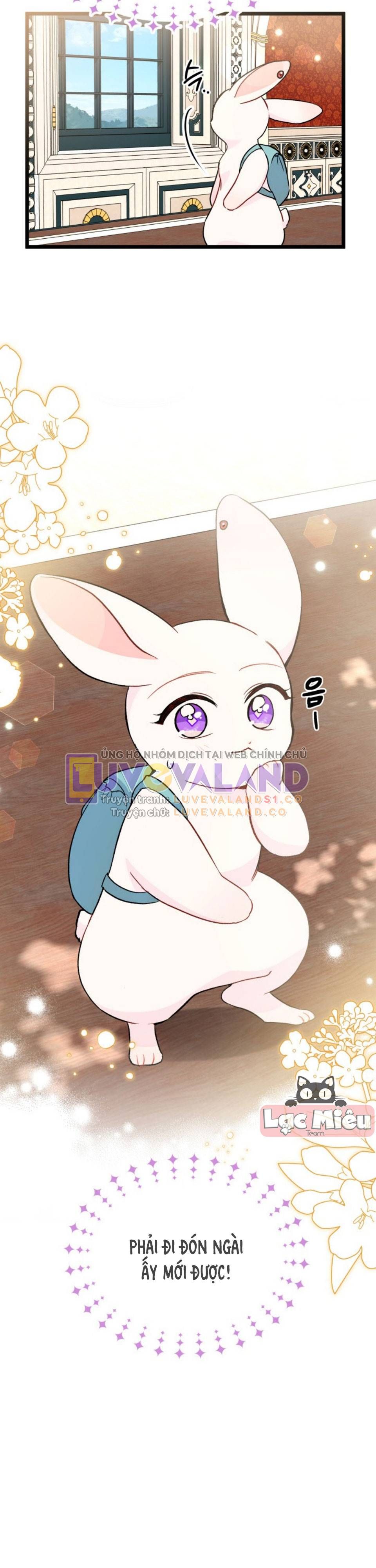 đọc truyện Mối Quan Hệ Cộng Sinh Giữa Báo Đen Và Thỏ Trắng Chương 150 ảnh 28 tại Thiên Thai Truyện