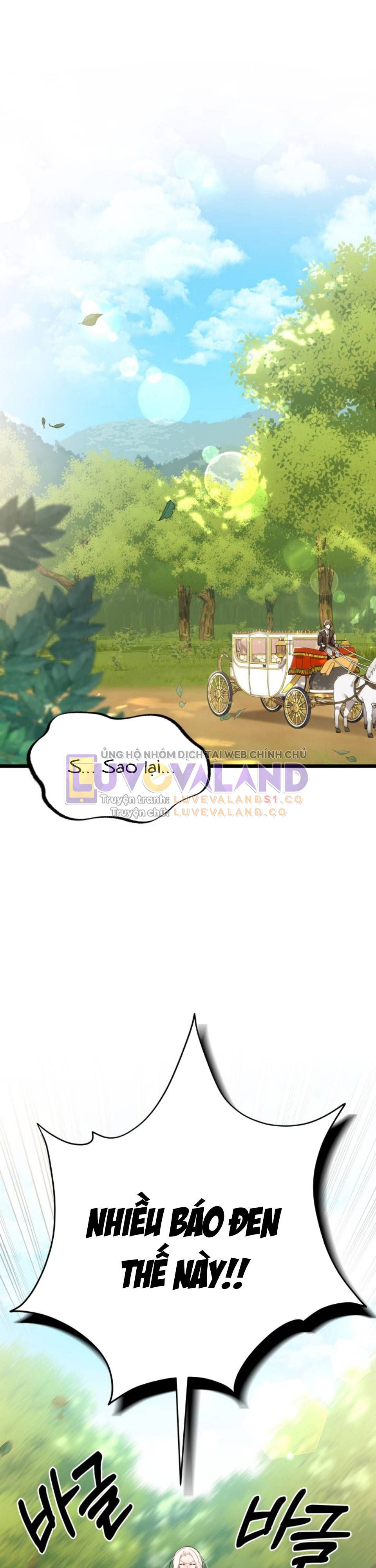 đọc truyện Mối Quan Hệ Cộng Sinh Giữa Báo Đen Và Thỏ Trắng Chương 150 ảnh 29 tại Thiên Thai Truyện