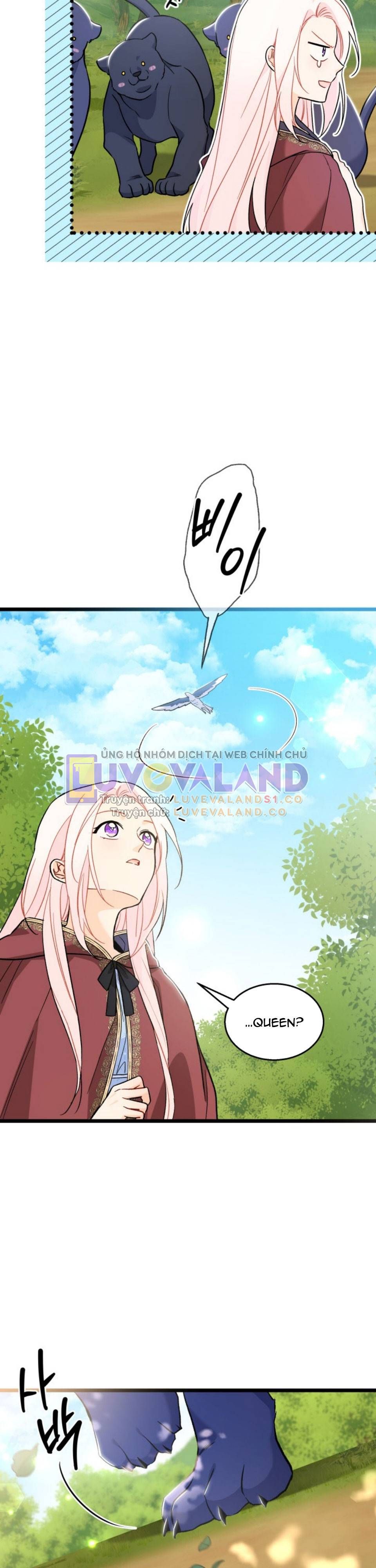 đọc truyện Mối Quan Hệ Cộng Sinh Giữa Báo Đen Và Thỏ Trắng Chương 150 ảnh 31 tại Thiên Thai Truyện