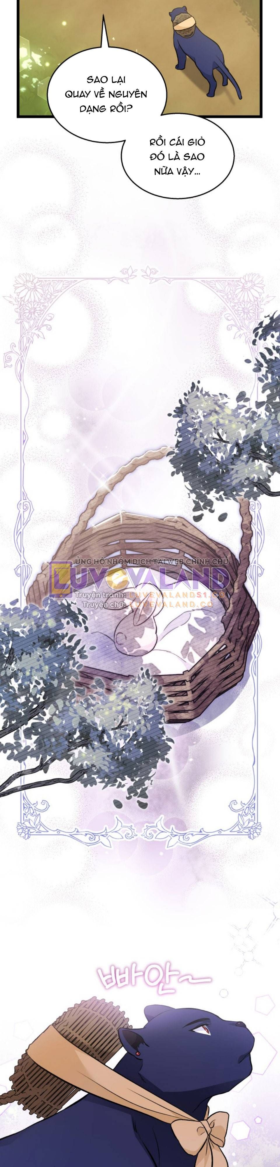 đọc truyện Mối Quan Hệ Cộng Sinh Giữa Báo Đen Và Thỏ Trắng Chương 150 ảnh 34 tại Thiên Thai Truyện