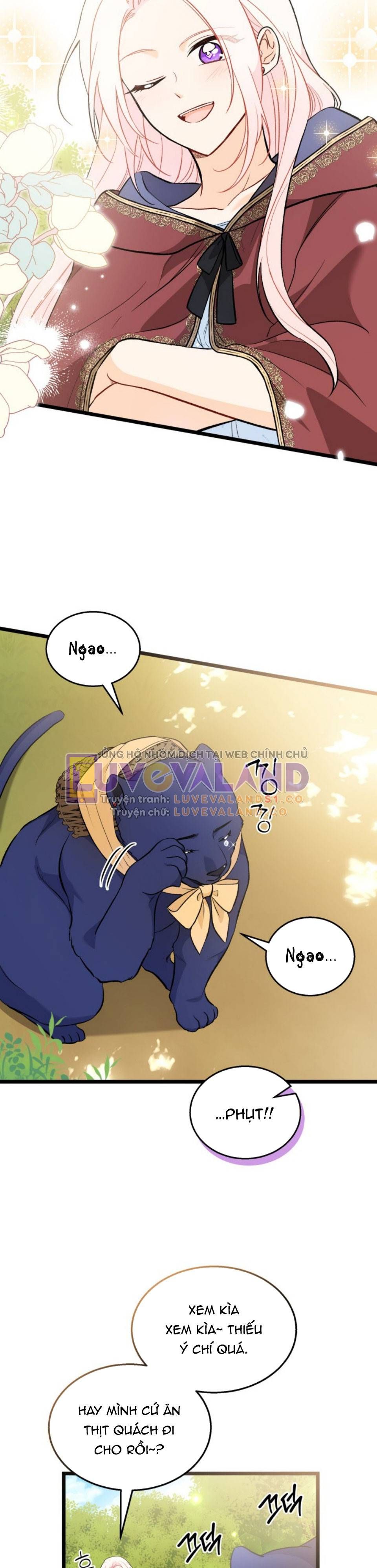 đọc truyện Mối Quan Hệ Cộng Sinh Giữa Báo Đen Và Thỏ Trắng Chương 150 ảnh 37 tại Thiên Thai Truyện