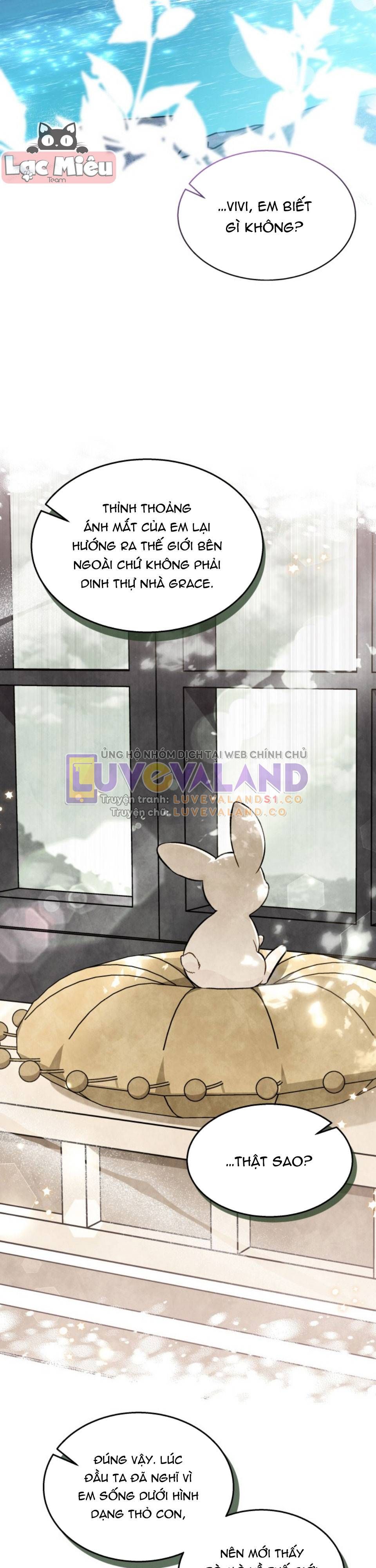 đọc truyện Mối Quan Hệ Cộng Sinh Giữa Báo Đen Và Thỏ Trắng Chương 150 ảnh 7 tại Thiên Thai Truyện