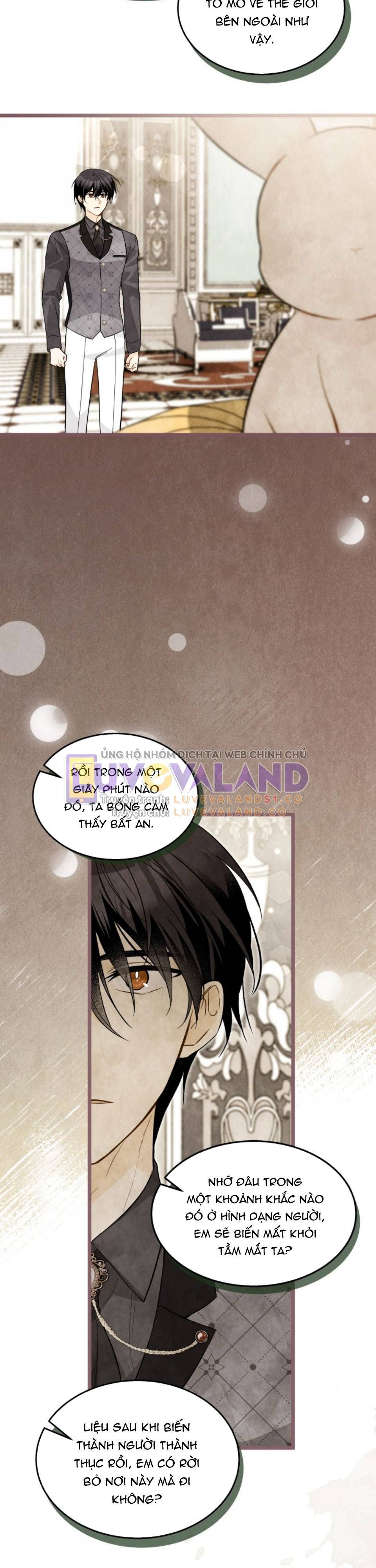 đọc truyện Mối Quan Hệ Cộng Sinh Giữa Báo Đen Và Thỏ Trắng Chương 150 ảnh 8 tại Thiên Thai Truyện