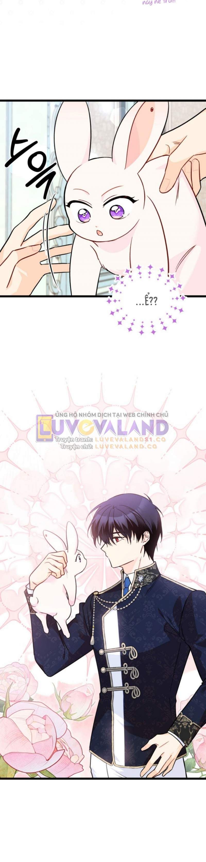 đọc truyện Mối Quan Hệ Cộng Sinh Giữa Báo Đen Và Thỏ Trắng Chương 151 ảnh 34 tại Thiên Thai Truyện