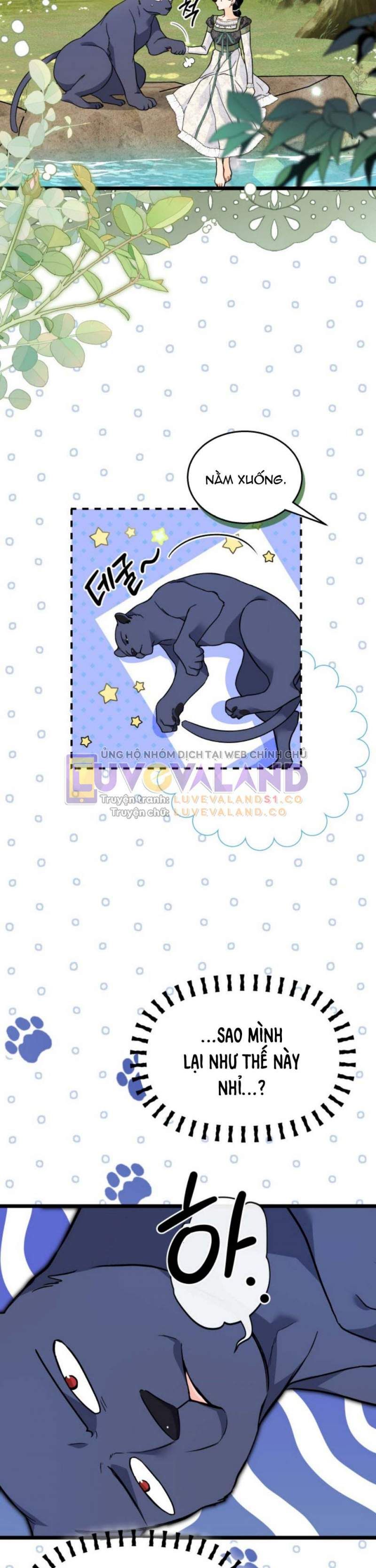 đọc truyện Mối Quan Hệ Cộng Sinh Giữa Báo Đen Và Thỏ Trắng Chương 153 ảnh 15 tại Thiên Thai Truyện