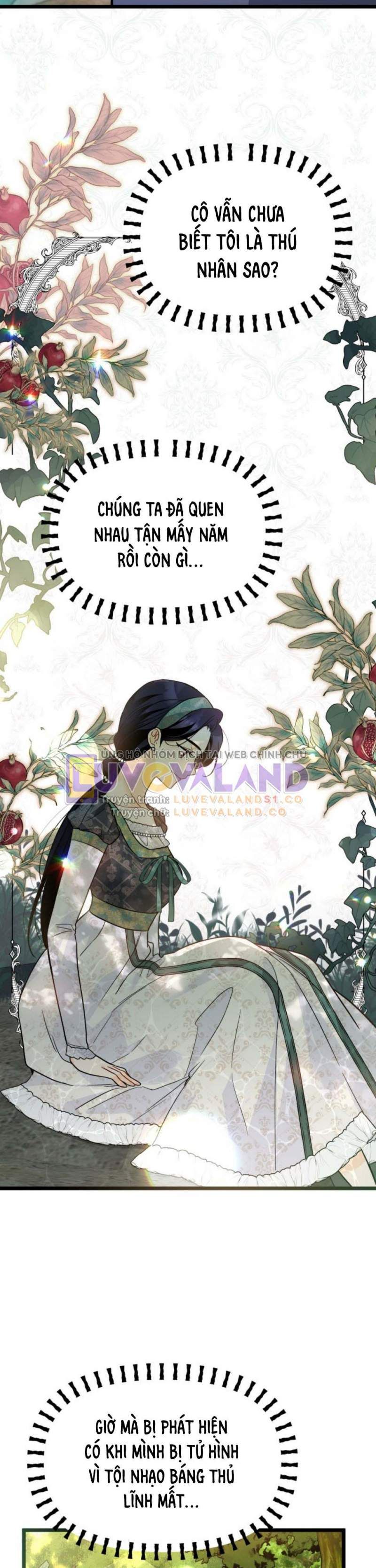 đọc truyện Mối Quan Hệ Cộng Sinh Giữa Báo Đen Và Thỏ Trắng Chương 153 ảnh 20 tại Thiên Thai Truyện