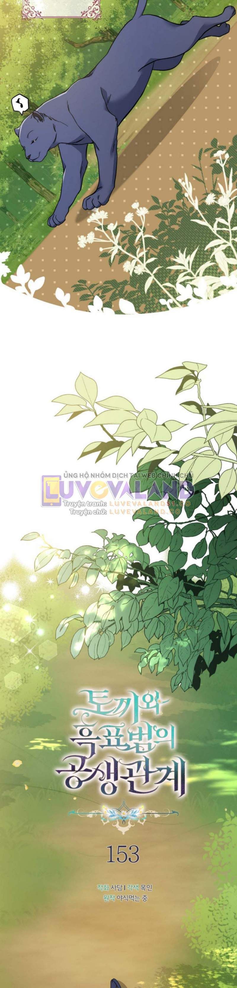 đọc truyện Mối Quan Hệ Cộng Sinh Giữa Báo Đen Và Thỏ Trắng Chương 153 ảnh 5 tại Thiên Thai Truyện