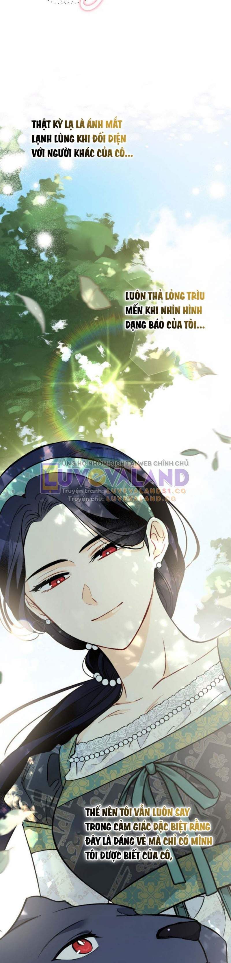 đọc truyện Mối Quan Hệ Cộng Sinh Giữa Báo Đen Và Thỏ Trắng Chương 153 ảnh 33 tại Thiên Thai Truyện