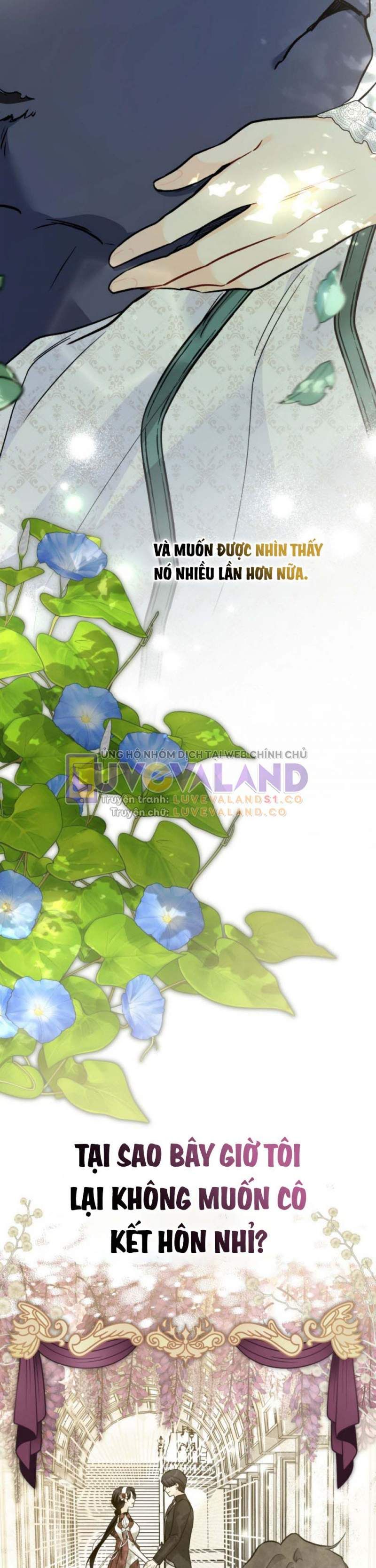 đọc truyện Mối Quan Hệ Cộng Sinh Giữa Báo Đen Và Thỏ Trắng Chương 153 ảnh 34 tại Thiên Thai Truyện