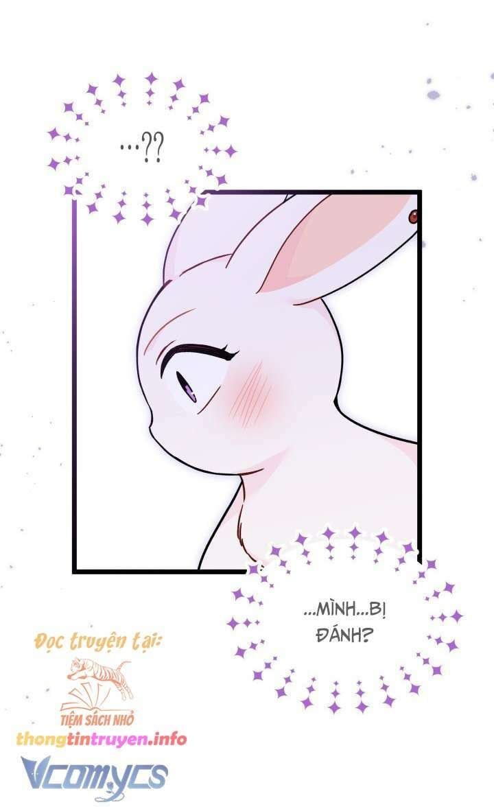 đọc truyện Mối Quan Hệ Cộng Sinh Giữa Báo Đen Và Thỏ Trắng Chương 155 ảnh 33 tại Thiên Thai Truyện