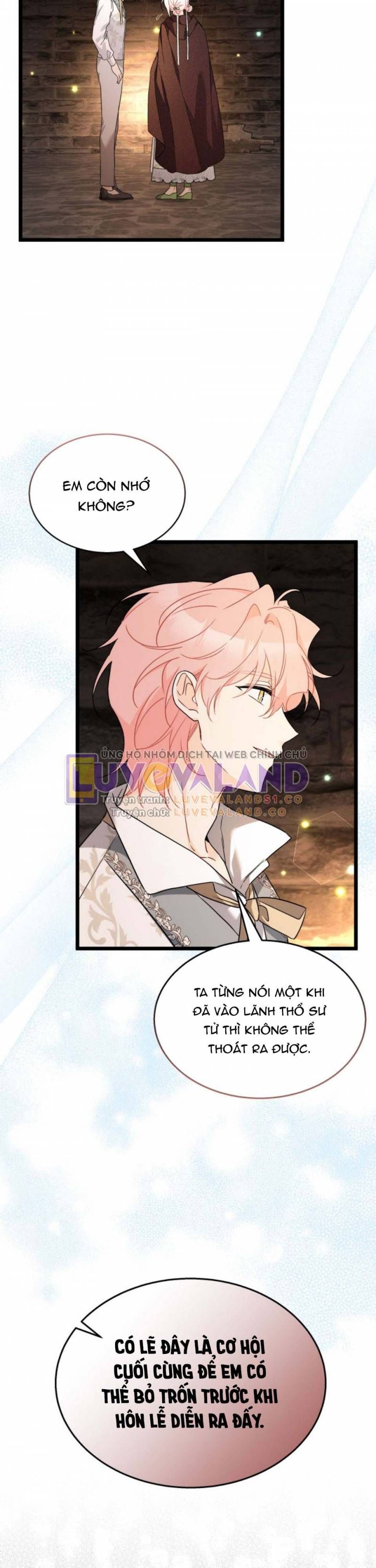 đọc truyện Mối Quan Hệ Cộng Sinh Giữa Báo Đen Và Thỏ Trắng Chương 157 ảnh 14 tại Thiên Thai Truyện