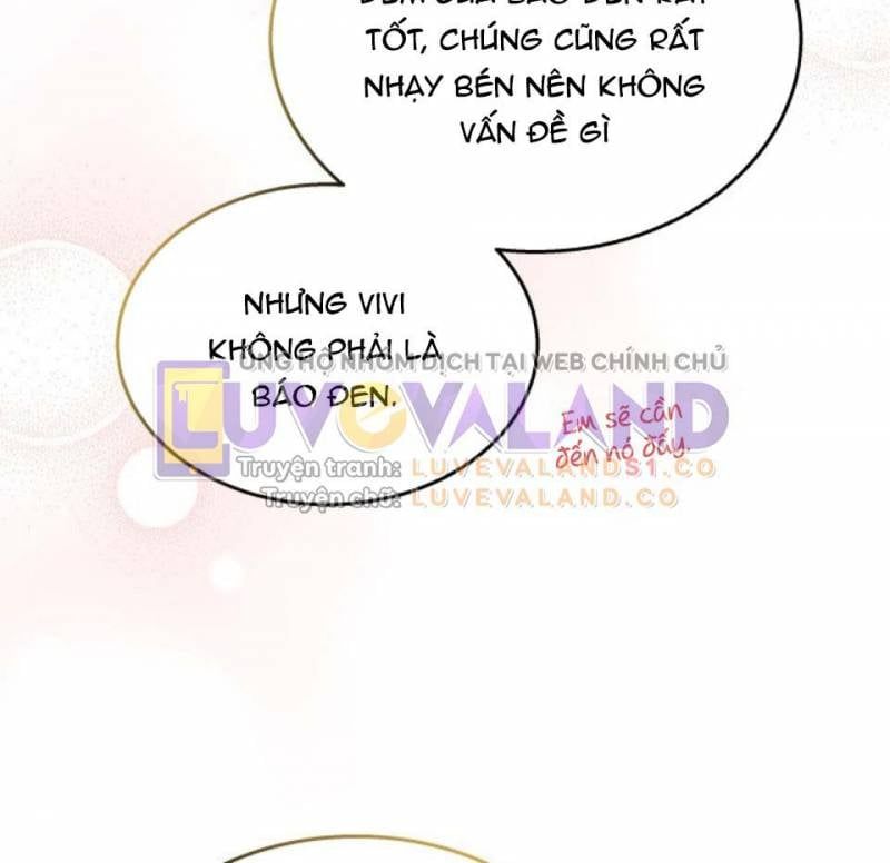 đọc truyện Mối Quan Hệ Cộng Sinh Giữa Báo Đen Và Thỏ Trắng Chương 157 ảnh 10 tại Thiên Thai Truyện