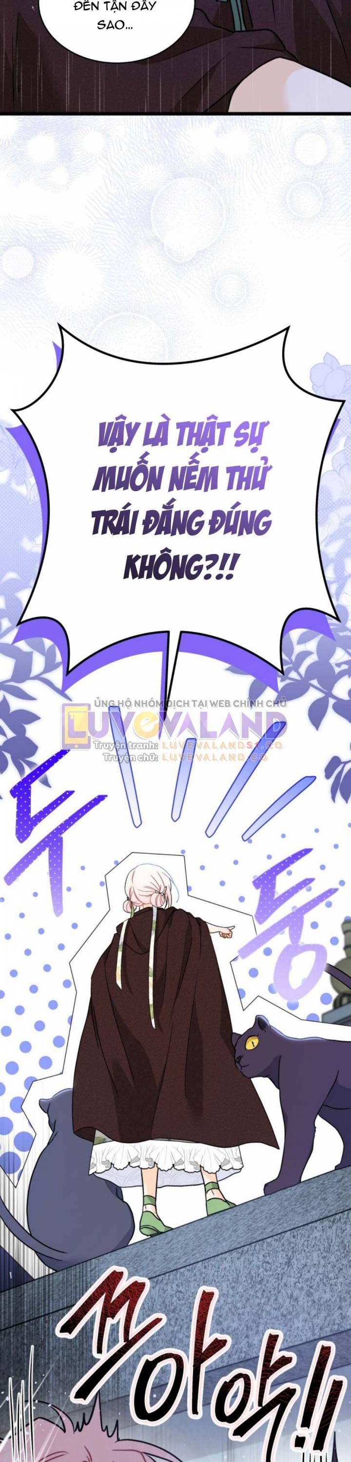 đọc truyện Mối Quan Hệ Cộng Sinh Giữa Báo Đen Và Thỏ Trắng Chương 158 ảnh 20 tại Thiên Thai Truyện