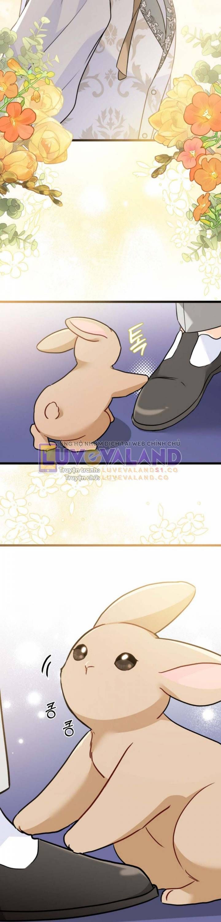 đọc truyện Mối Quan Hệ Cộng Sinh Giữa Báo Đen Và Thỏ Trắng Chương 158 ảnh 41 tại Thiên Thai Truyện