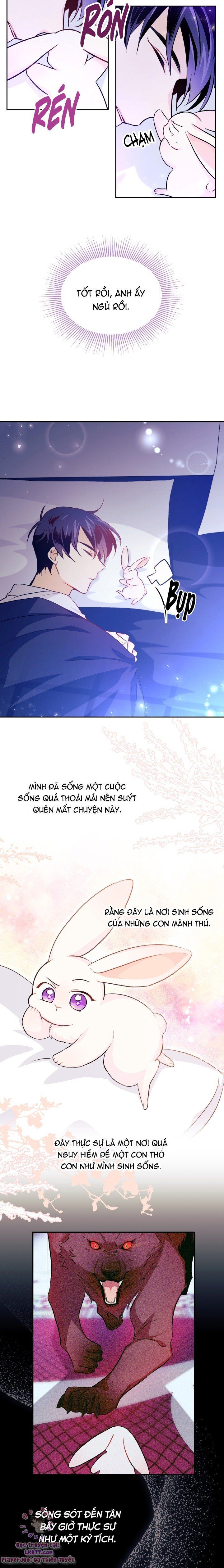 đọc truyện Mối Quan Hệ Cộng Sinh Giữa Báo Đen Và Thỏ Trắng Chương 16 ảnh 13 tại Thiên Thai Truyện