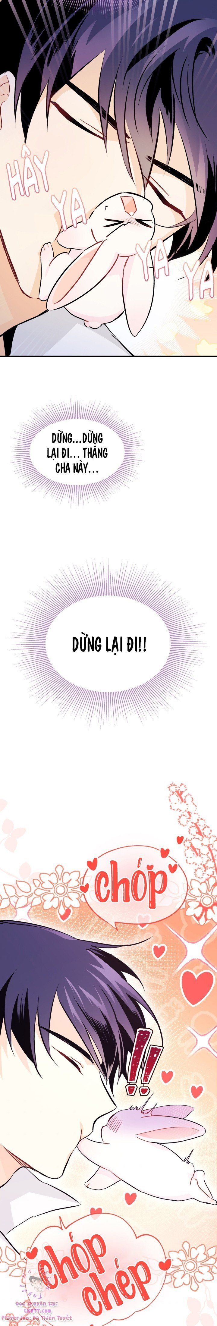 đọc truyện Mối Quan Hệ Cộng Sinh Giữa Báo Đen Và Thỏ Trắng Chương 16 ảnh 19 tại Thiên Thai Truyện