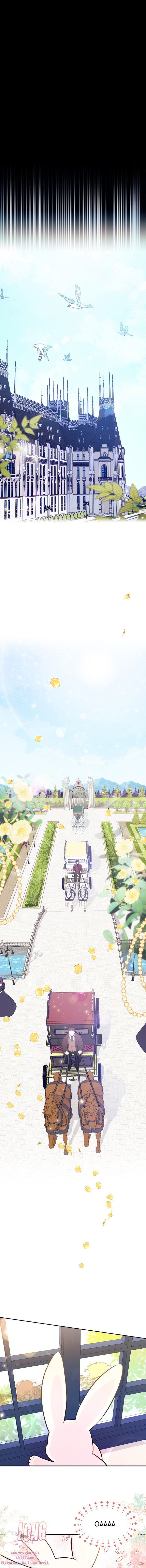 đọc truyện Mối Quan Hệ Cộng Sinh Giữa Báo Đen Và Thỏ Trắng Chương 16 ảnh 21 tại Thiên Thai Truyện