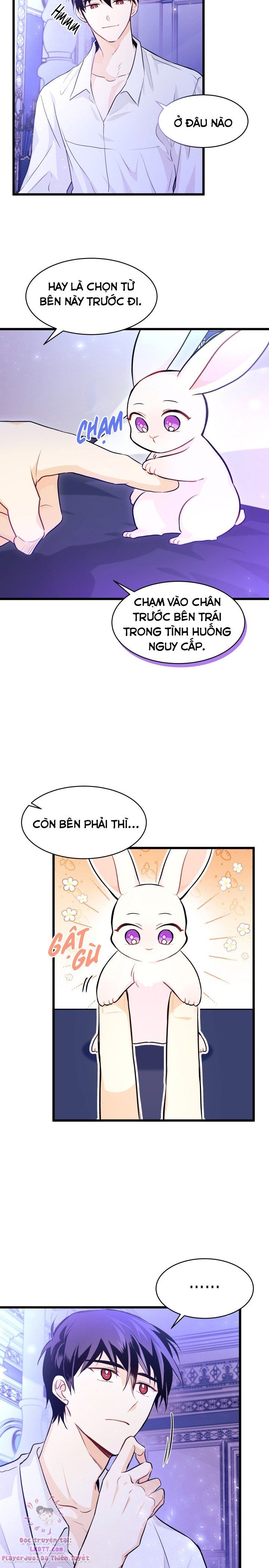 đọc truyện Mối Quan Hệ Cộng Sinh Giữa Báo Đen Và Thỏ Trắng Chương 16 ảnh 8 tại Thiên Thai Truyện