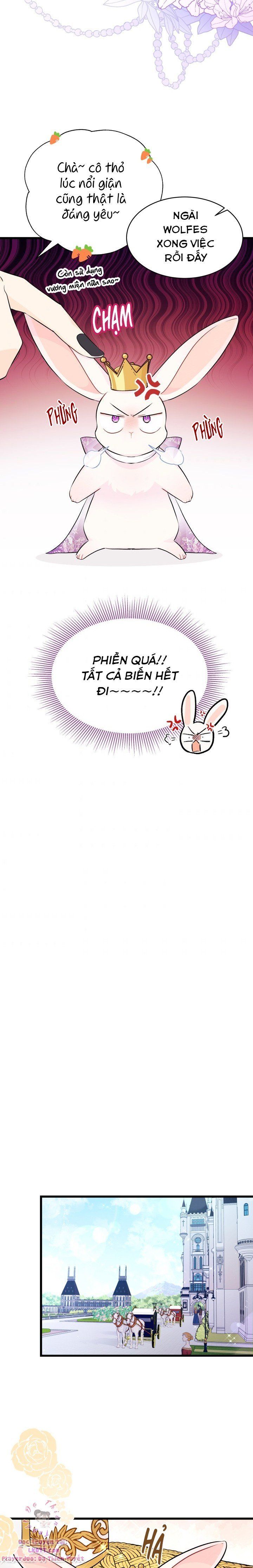 đọc truyện Mối Quan Hệ Cộng Sinh Giữa Báo Đen Và Thỏ Trắng Chương 17 ảnh 17 tại Thiên Thai Truyện