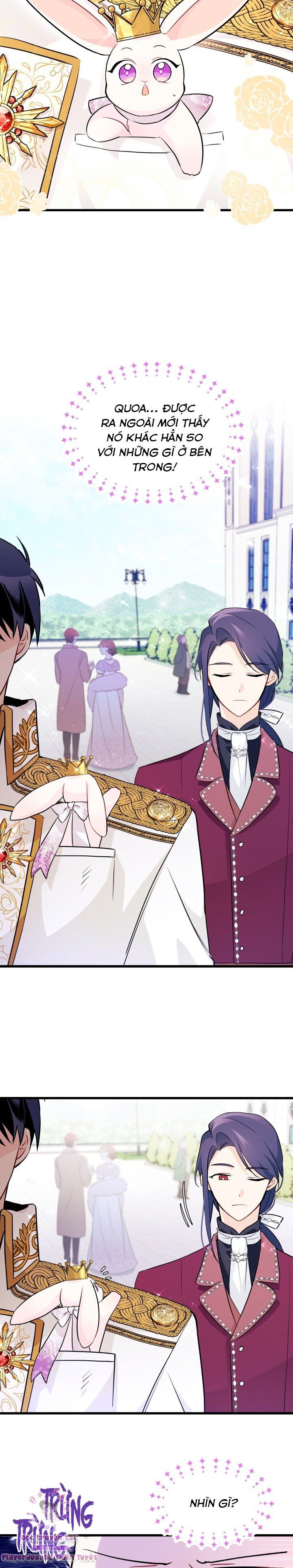 đọc truyện Mối Quan Hệ Cộng Sinh Giữa Báo Đen Và Thỏ Trắng Chương 17 ảnh 18 tại Thiên Thai Truyện