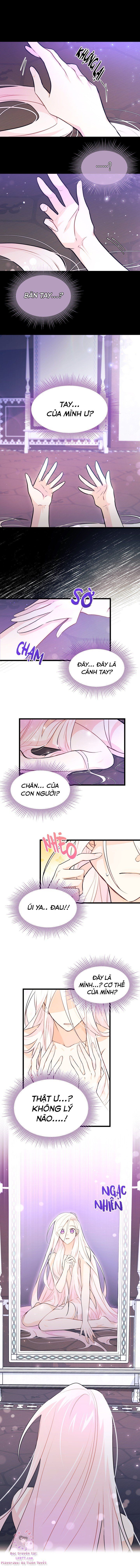 đọc truyện Mối Quan Hệ Cộng Sinh Giữa Báo Đen Và Thỏ Trắng Chương 19 ảnh 8 tại Thiên Thai Truyện