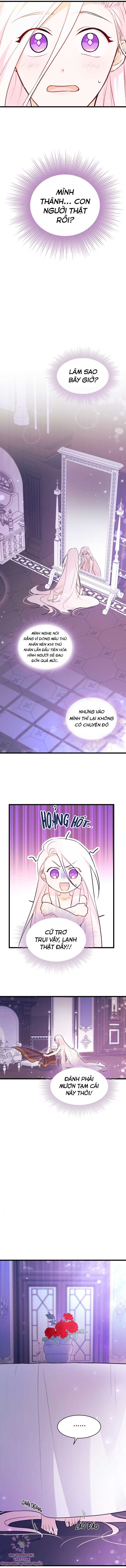 đọc truyện Mối Quan Hệ Cộng Sinh Giữa Báo Đen Và Thỏ Trắng Chương 19 ảnh 10 tại Thiên Thai Truyện