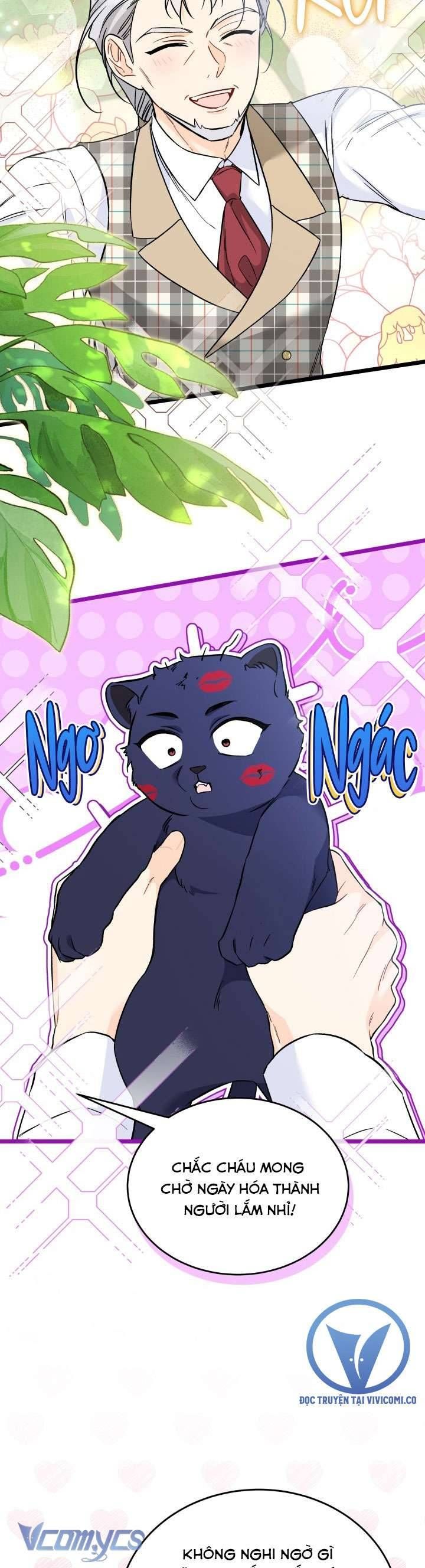 đọc truyện Mối Quan Hệ Cộng Sinh Giữa Báo Đen Và Thỏ Trắng Chương 198 ảnh 6 tại Thiên Thai Truyện