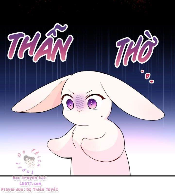 đọc truyện Mối Quan Hệ Cộng Sinh Giữa Báo Đen Và Thỏ Trắng Chương 2 ảnh 12 tại Thiên Thai Truyện