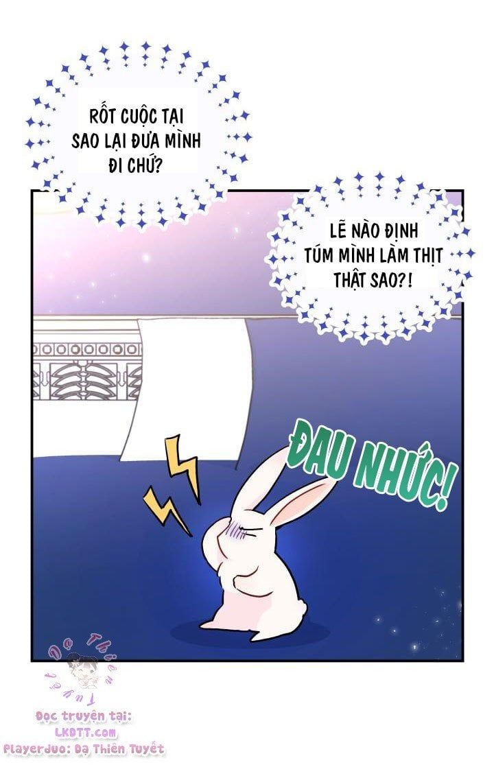 đọc truyện Mối Quan Hệ Cộng Sinh Giữa Báo Đen Và Thỏ Trắng Chương 2 ảnh 13 tại Thiên Thai Truyện