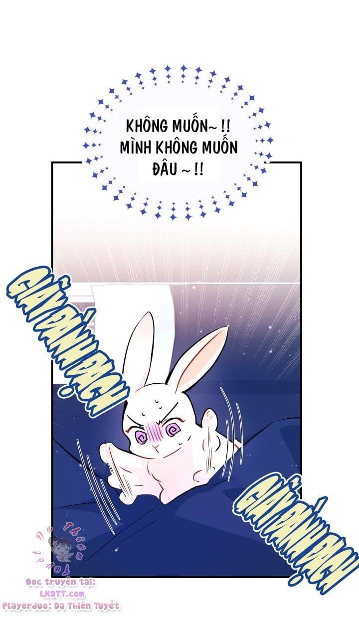 đọc truyện Mối Quan Hệ Cộng Sinh Giữa Báo Đen Và Thỏ Trắng Chương 2 ảnh 15 tại Thiên Thai Truyện