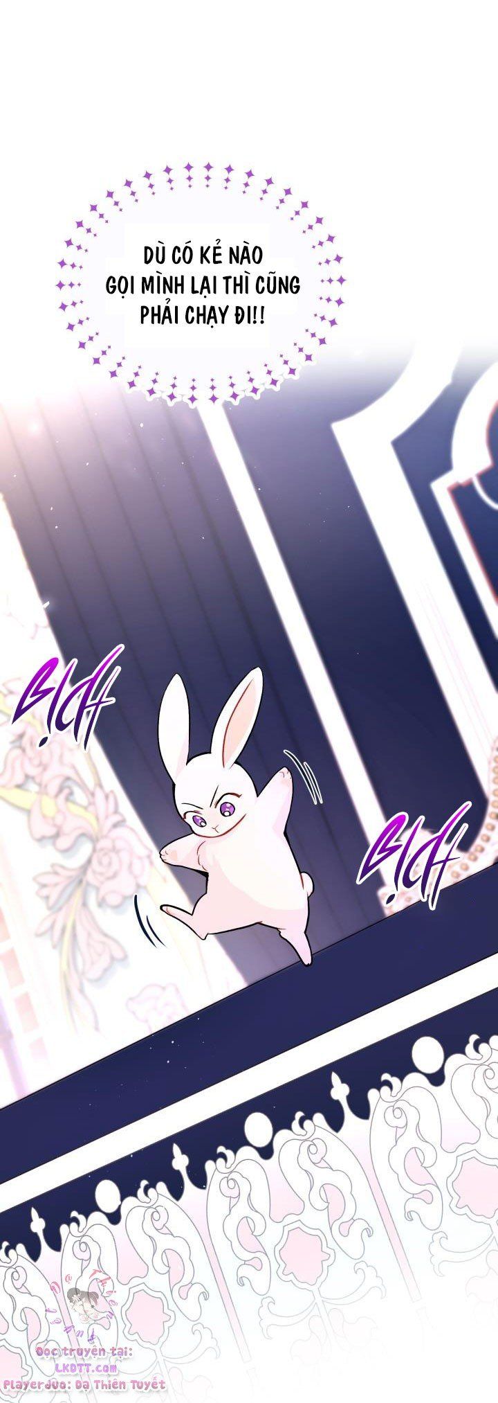 đọc truyện Mối Quan Hệ Cộng Sinh Giữa Báo Đen Và Thỏ Trắng Chương 2 ảnh 17 tại Thiên Thai Truyện