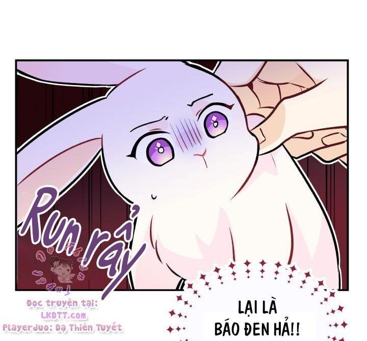 đọc truyện Mối Quan Hệ Cộng Sinh Giữa Báo Đen Và Thỏ Trắng Chương 2 ảnh 24 tại Thiên Thai Truyện