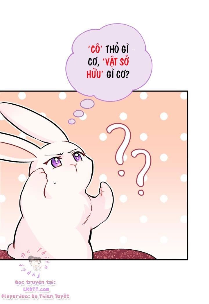 đọc truyện Mối Quan Hệ Cộng Sinh Giữa Báo Đen Và Thỏ Trắng Chương 2 ảnh 28 tại Thiên Thai Truyện