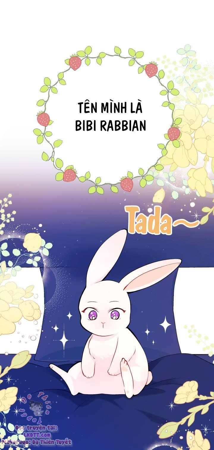 đọc truyện Mối Quan Hệ Cộng Sinh Giữa Báo Đen Và Thỏ Trắng Chương 2 ảnh 6 tại Thiên Thai Truyện