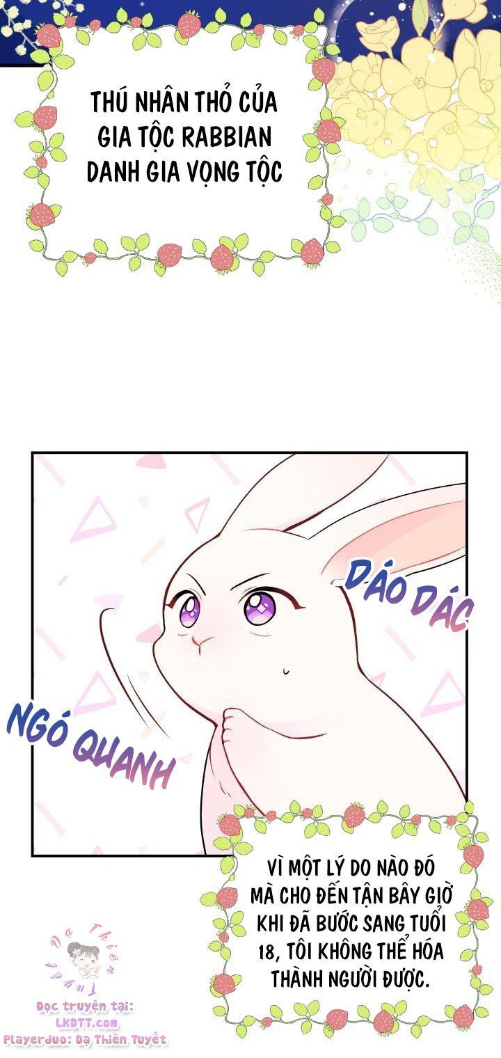 đọc truyện Mối Quan Hệ Cộng Sinh Giữa Báo Đen Và Thỏ Trắng Chương 2 ảnh 7 tại Thiên Thai Truyện