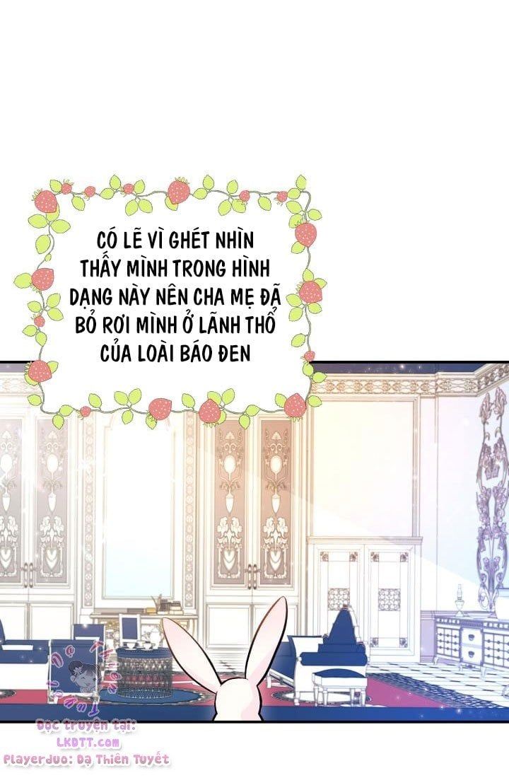 đọc truyện Mối Quan Hệ Cộng Sinh Giữa Báo Đen Và Thỏ Trắng Chương 2 ảnh 8 tại Thiên Thai Truyện